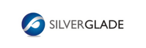 Techovibes Branding - SILVER GLADE